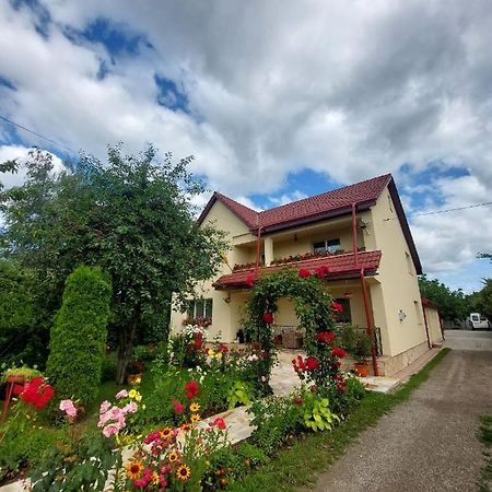 Steaua Nordului Hotel Targu Neamt Exterior photo