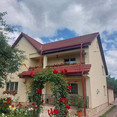 Steaua Nordului Hotel Targu Neamt Exterior photo