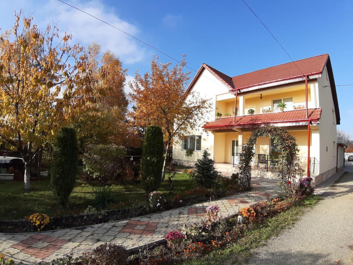Steaua Nordului Hotel Targu Neamt Exterior photo