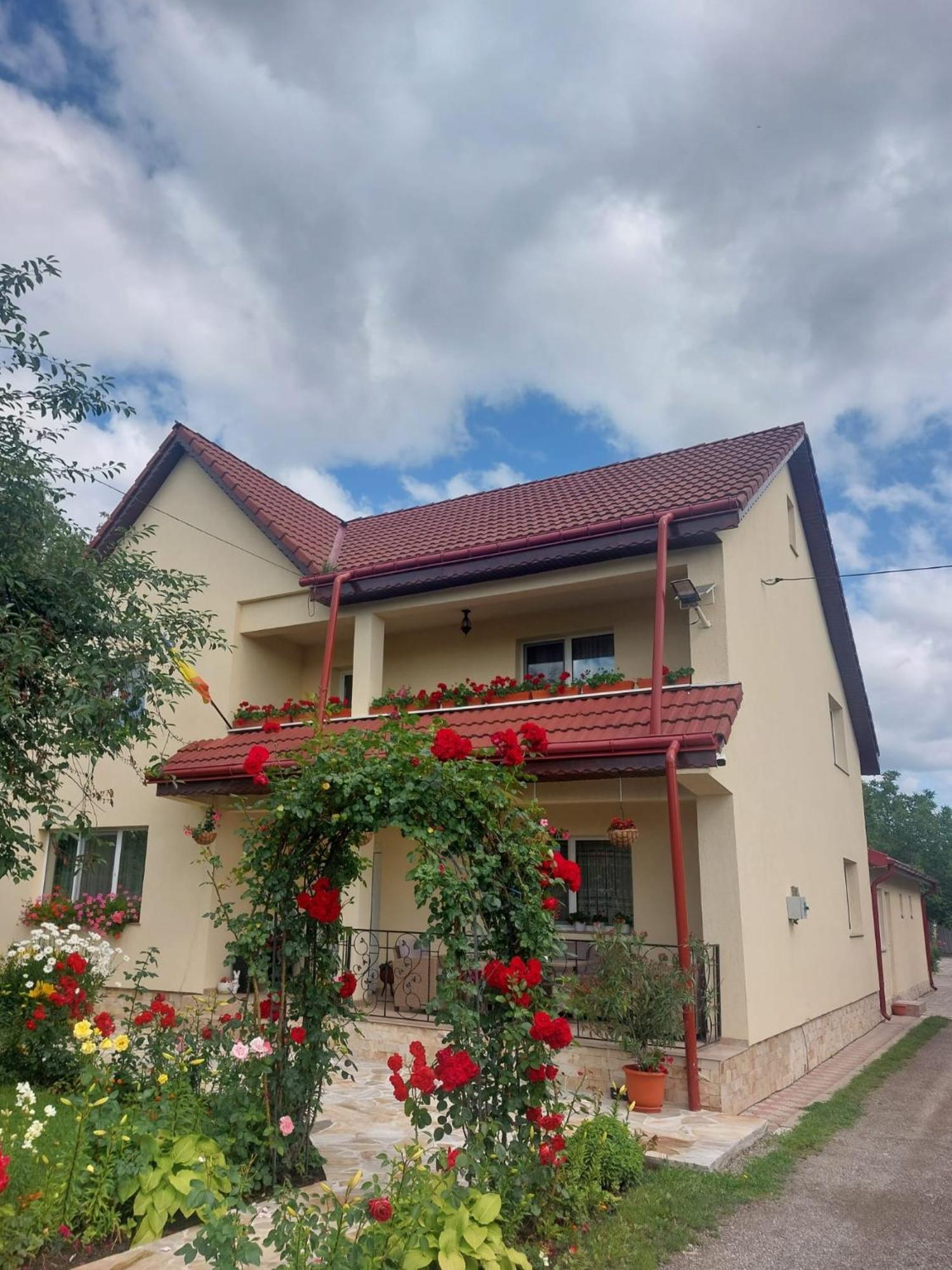 Steaua Nordului Hotel Targu Neamt Exterior photo